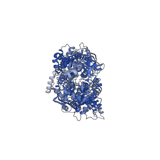 13142_7p03_A_v1-0
Cryo-EM structure of Pdr5 from Saccharomyces cerevisiae in inward-facing conformation without nucleotides