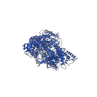13143_7p04_A_v1-0
Cryo-EM structure of Pdr5 from Saccharomyces cerevisiae in inward-facing conformation with ADP/ATP
