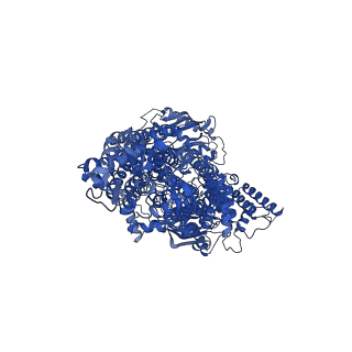 13144_7p05_A_v1-0
Cryo-EM structure of Pdr5 from Saccharomyces cerevisiae in inward-facing conformation with ADP/ATP and rhodamine 6G