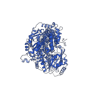 13145_7p06_A_v1-0
Cryo-EM structure of Pdr5 from Saccharomyces cerevisiae in outward-facing conformation with ADP-orthovanadate/ATP