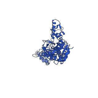 13146_7p09_A_v1-0
Human mitochondrial Lon protease with substrate in the ATPase domain