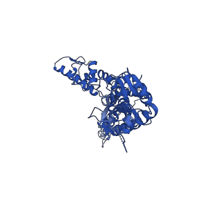 13146_7p09_B_v1-0
Human mitochondrial Lon protease with substrate in the ATPase domain