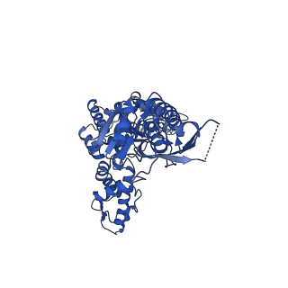 13146_7p09_D_v1-0
Human mitochondrial Lon protease with substrate in the ATPase domain
