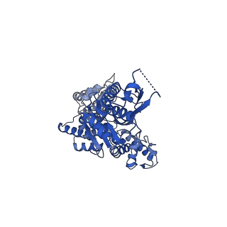 13146_7p09_E_v1-0
Human mitochondrial Lon protease with substrate in the ATPase domain