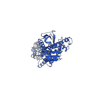 13146_7p09_F_v1-0
Human mitochondrial Lon protease with substrate in the ATPase domain