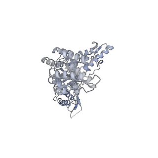 13147_7p0b_A_v1-0
Human mitochondrial Lon protease without substrate