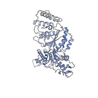 13147_7p0b_C_v1-0
Human mitochondrial Lon protease without substrate