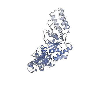 13147_7p0b_D_v1-0
Human mitochondrial Lon protease without substrate