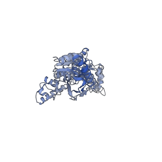 13148_7p0m_A_v1-0
Human mitochondrial Lon protease with substrate in the ATPase and protease domains