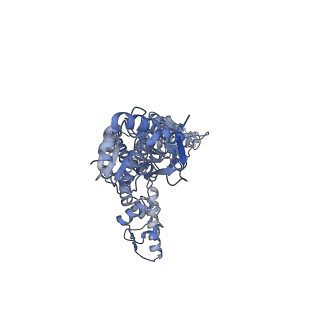 13148_7p0m_B_v1-0
Human mitochondrial Lon protease with substrate in the ATPase and protease domains