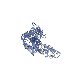 13148_7p0m_C_v1-0
Human mitochondrial Lon protease with substrate in the ATPase and protease domains