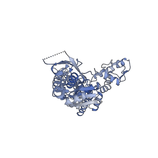 13148_7p0m_D_v1-0
Human mitochondrial Lon protease with substrate in the ATPase and protease domains