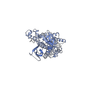 13148_7p0m_F_v1-0
Human mitochondrial Lon protease with substrate in the ATPase and protease domains