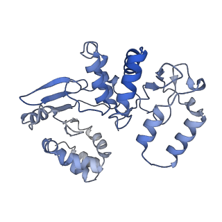 17323_8p00_A_v1-2
Cryo-EM structure of Rotavirus B NSP2