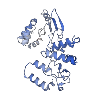 17323_8p00_B_v1-2
Cryo-EM structure of Rotavirus B NSP2