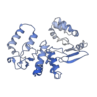 17323_8p00_C_v1-2
Cryo-EM structure of Rotavirus B NSP2