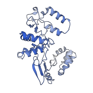 17323_8p00_D_v1-2
Cryo-EM structure of Rotavirus B NSP2