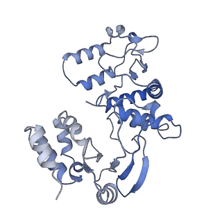 17323_8p00_E_v1-2
Cryo-EM structure of Rotavirus B NSP2