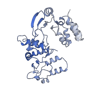 17323_8p00_G_v1-2
Cryo-EM structure of Rotavirus B NSP2