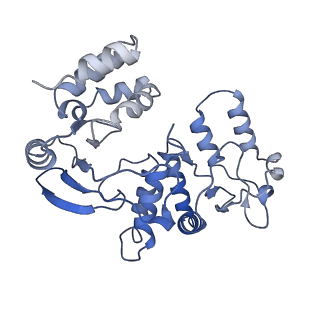 17323_8p00_H_v1-2
Cryo-EM structure of Rotavirus B NSP2