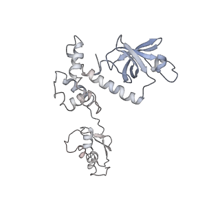 17329_8p03_A_v1-0
48S late-stage initiation complex with m6A mRNA