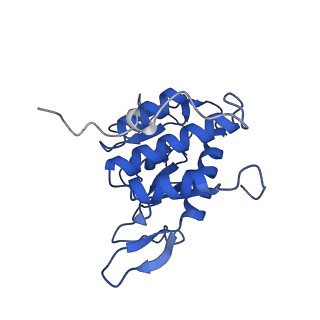 17329_8p03_C_v1-0
48S late-stage initiation complex with m6A mRNA