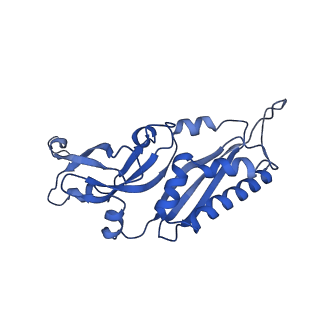 17329_8p03_D_v1-0
48S late-stage initiation complex with m6A mRNA