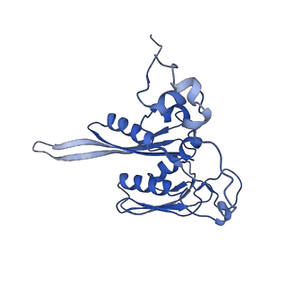 17329_8p03_E_v1-0
48S late-stage initiation complex with m6A mRNA