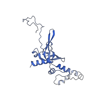 17329_8p03_K_v1-0
48S late-stage initiation complex with m6A mRNA