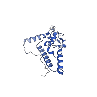 17329_8p03_L_v1-0
48S late-stage initiation complex with m6A mRNA