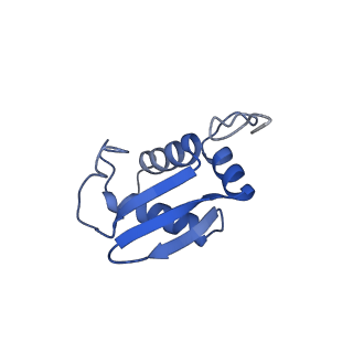 17329_8p03_M_v1-0
48S late-stage initiation complex with m6A mRNA