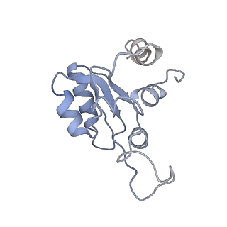 17329_8p03_O_v1-0
48S late-stage initiation complex with m6A mRNA