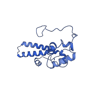 17329_8p03_P_v1-0
48S late-stage initiation complex with m6A mRNA