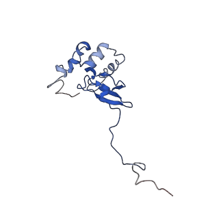 17329_8p03_R_v1-0
48S late-stage initiation complex with m6A mRNA