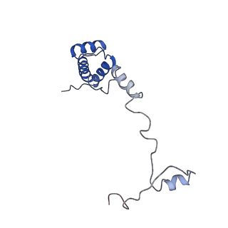 17329_8p03_T_v1-0
48S late-stage initiation complex with m6A mRNA