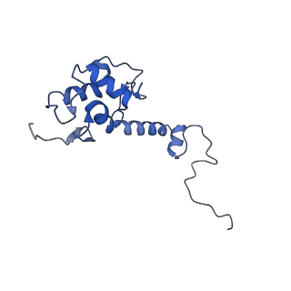 17329_8p03_U_v1-0
48S late-stage initiation complex with m6A mRNA