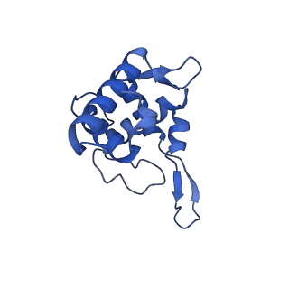 17329_8p03_V_v1-0
48S late-stage initiation complex with m6A mRNA