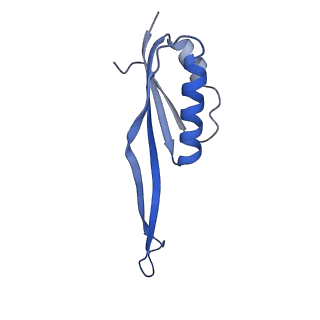 17329_8p03_W_v1-0
48S late-stage initiation complex with m6A mRNA