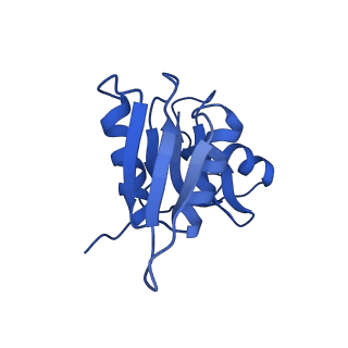 17329_8p03_Y_v1-0
48S late-stage initiation complex with m6A mRNA