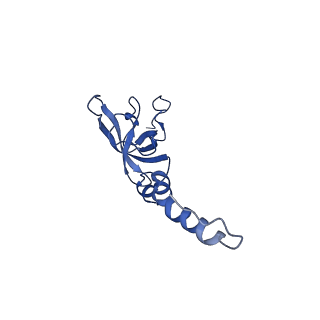 17329_8p03_Z_v1-0
48S late-stage initiation complex with m6A mRNA