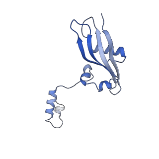 17329_8p03_a_v1-0
48S late-stage initiation complex with m6A mRNA