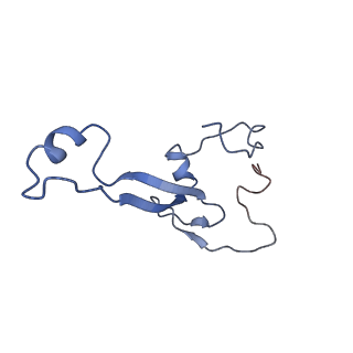 17329_8p03_b_v1-0
48S late-stage initiation complex with m6A mRNA