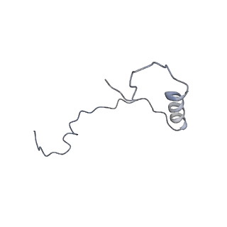 17329_8p03_i_v1-0
48S late-stage initiation complex with m6A mRNA