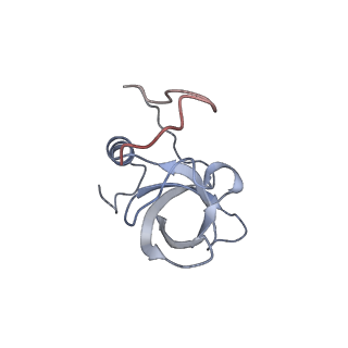 17329_8p03_j_v1-0
48S late-stage initiation complex with m6A mRNA