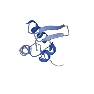 17329_8p03_n_v1-0
48S late-stage initiation complex with m6A mRNA