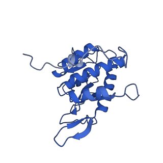 17330_8p09_C_v1-0
48S late-stage initiation complex with non methylated mRNA