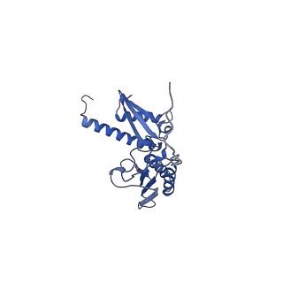 17330_8p09_F_v1-0
48S late-stage initiation complex with non methylated mRNA