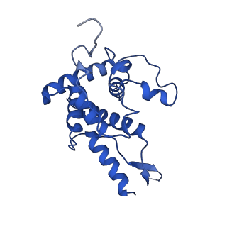 17330_8p09_H_v1-0
48S late-stage initiation complex with non methylated mRNA