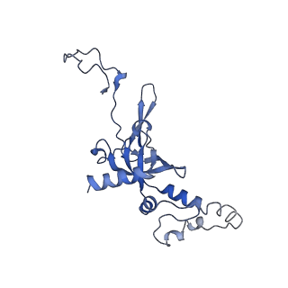 17330_8p09_K_v1-0
48S late-stage initiation complex with non methylated mRNA