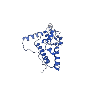 17330_8p09_L_v1-0
48S late-stage initiation complex with non methylated mRNA